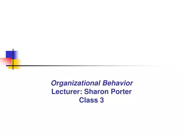organizational behavior lecturer sharon porter class 3