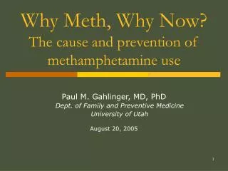 Why Meth, Why Now? The cause and prevention of methamphetamine use