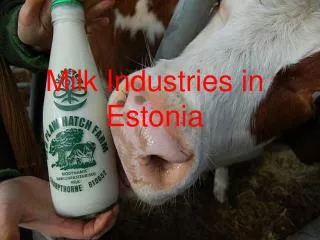 Milk Industries in Estonia