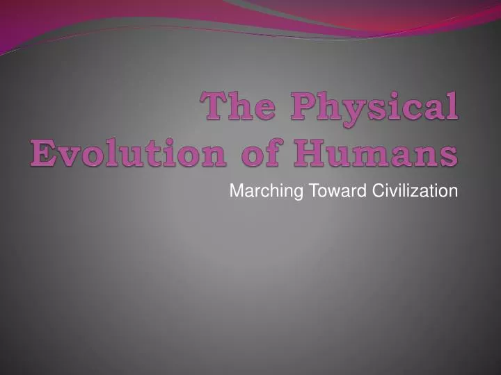the physical evolution of humans