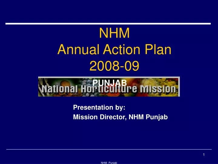 nhm annual action plan 2008 09