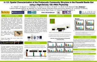 N-120: Spatial Characterization of the Prokaryotic Community Structure in the Passalid Beetle Gut using a High-Density