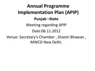 Annual Programme Implementation Plan (APIP)