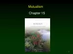 Mutualism - slide 1