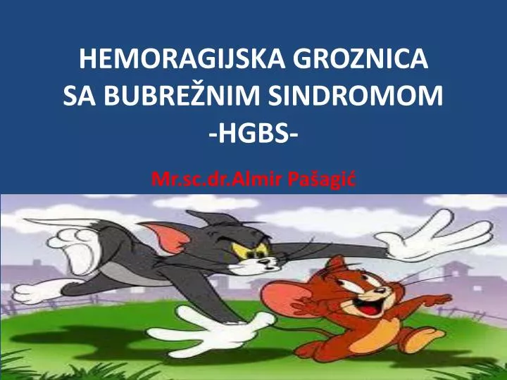 hemoragijska groznica sa bubre nim sindromom hgbs