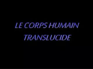 le corps humain translucide