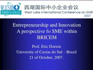 Entrepreneurship and Innovation A perspective fo SME within BRICEM