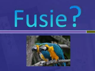 Fusie ?