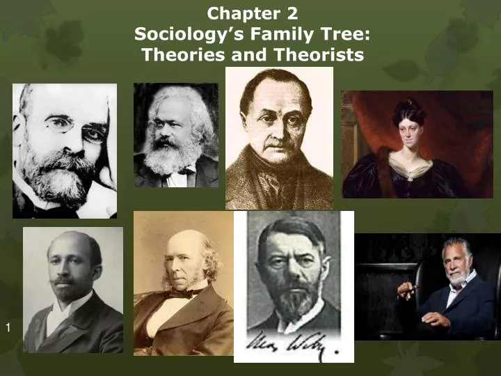 chapter 2 sociology s family tree theories and theorists