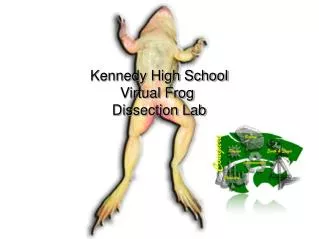 Kennedy High School Virtual Frog Dissection Lab