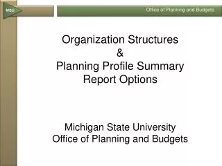 Organization Structures &amp; Planning Profile Summary Report Options Michigan State University Office of Planning an