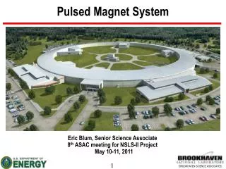 Pulsed Magnet System