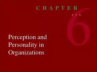 Perception and Personality in Organizations