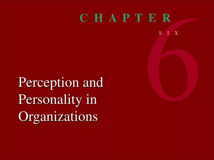 perception and personality in organizations