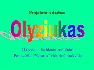 projektinis darbas