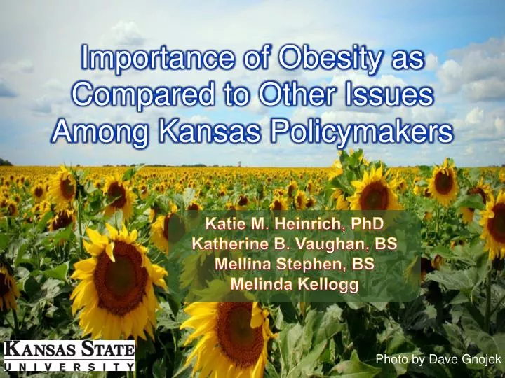 importance of obesity as compared to other issues among kansas policymakers