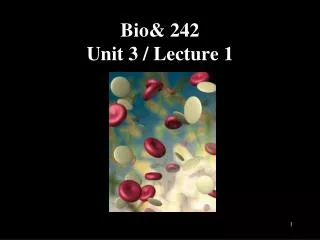 Bio&amp; 242 Unit 3 / Lecture 1