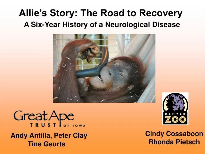 allie s story the road to recovery a six year history of a neurological disease
