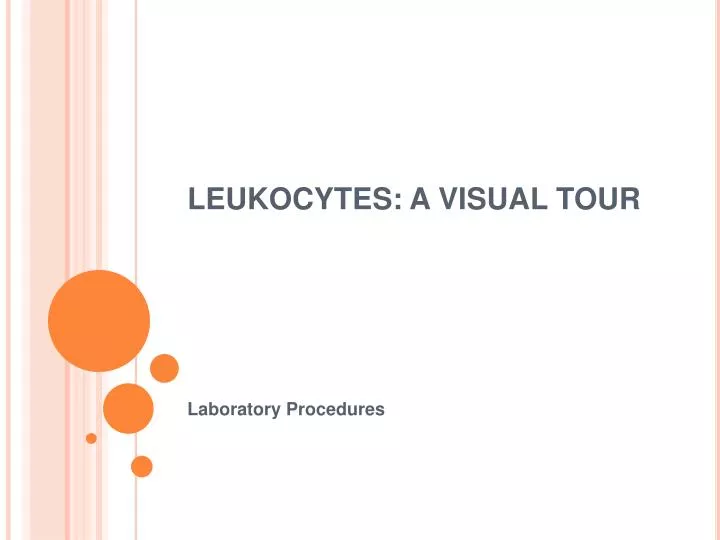 leukocytes a visual tour