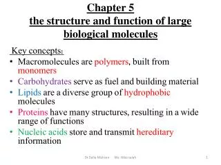 Chapter 5 the structure and function of large biological molecules