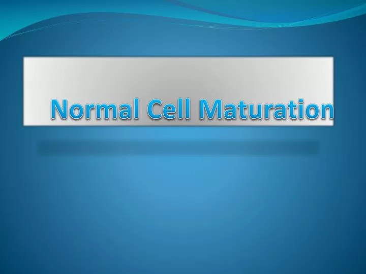 normal cell maturation