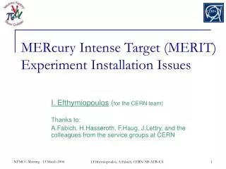 MERcury Intense Target (MERIT) Experiment Installation Issues