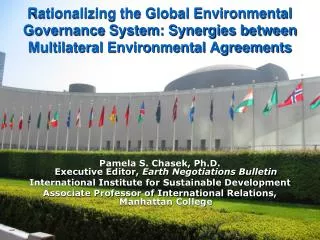 Rationalizing the Global Environmental Governance System: Synergies between Multilateral Environmental Agreements
