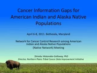 Cancer Information Gaps for American Indian and Alaska Native Populations