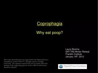 Coprophagia Why eat poop?