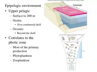 Epipelagic environment Upper pelagic Surface to 200 m Neritic Over continental shelf Oceanic Beyond the shelf Correlates