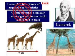 Lamarck