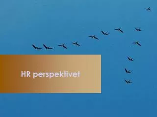 HR perspektivet