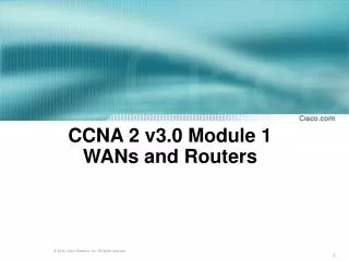 CCNA 2 v3.0 Module 1 WANs and Routers