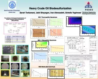 Heavy Crude Oil Biodesulfurization Sarah Torkamani, Jalal Shayegan, Iran Alemzadeh, Soheila Yaghmaei