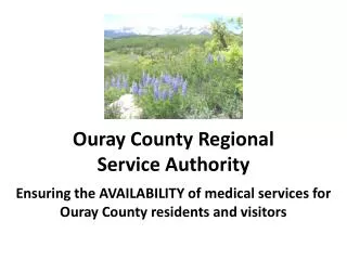 Ouray County Regional Service Authority
