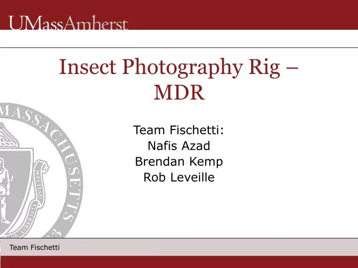 insect photography rig mdr
