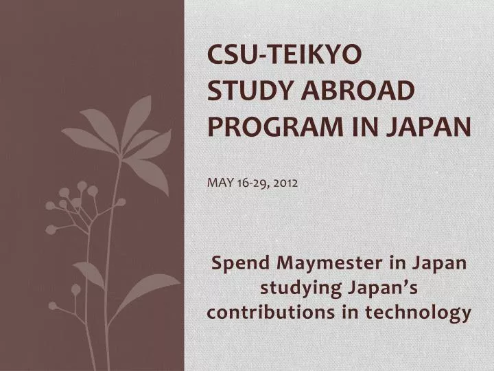 csu teikyo study abroad program in japan may 16 29 2012
