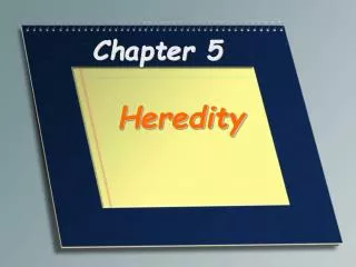 chapter 5