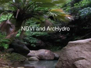 NDVI and ArcHydro