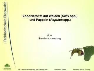 Zoodiversität auf Weiden ( Salix spp.) und Pappeln ( Populus spp.)
