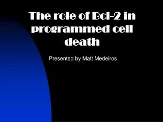 The role of Bcl-2 in programmed cell death