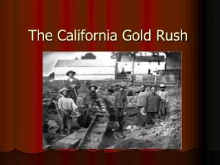 PPT - The California Gold Rush PowerPoint Presentation, free download ...