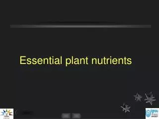 Essential plant nutrients