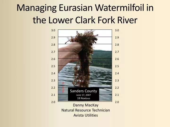managing eurasian watermilfoil in the lower clark fork river