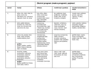 Okvirni program (makro program): pojmovi