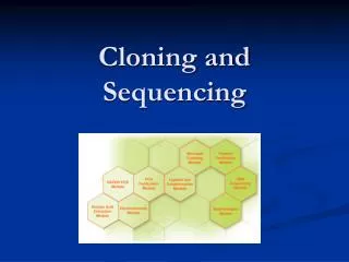 Cloning and Sequencing