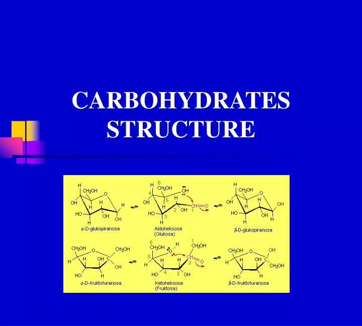 carbohydrates structure