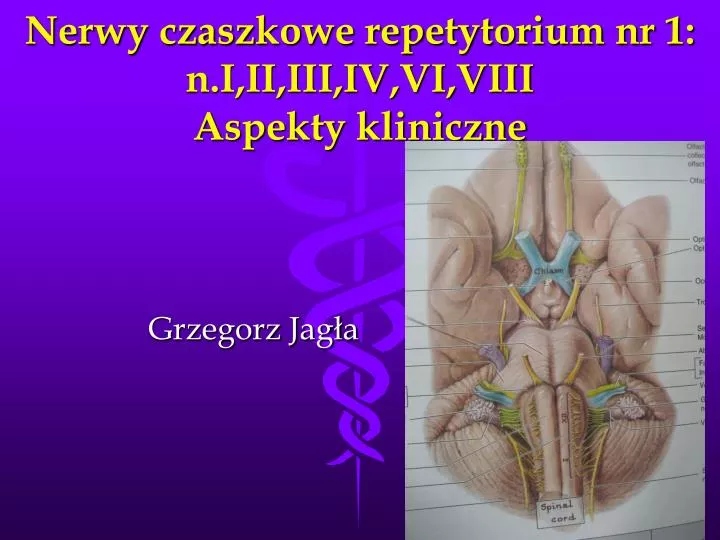 nerwy czaszkowe repetytorium nr 1 n i ii iii iv vi viii aspekty kliniczne
