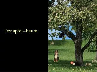 Der apfel – baum