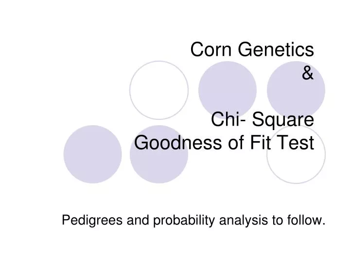 corn genetics chi square goodness of fit test